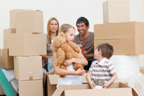 Family household storage solution with furniture and seasonal items in Shirley